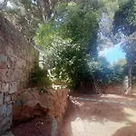 Old Captain's - In A Pine Wood By The Sea And Tennis Courts