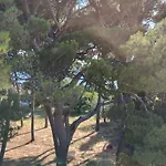Old Captain's - In A Pine Wood By The Sea And Tennis Courts Апартаменты Сплит
