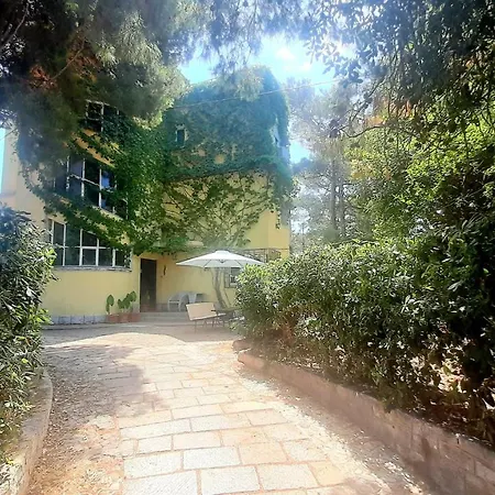 Old Captain's - In A Pine Wood By The Sea And Tennis Courts