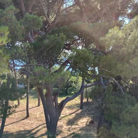 Old Captain's - In A Pine Wood By The Sea And Tennis Courts Appartement Split