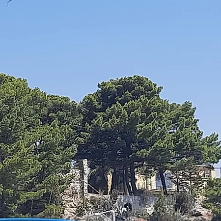 Old Captain's - In A Pine Wood By The Sea And Tennis Courts *