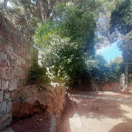 Old Captain's - In A Pine Wood By The Sea And Tennis Courts