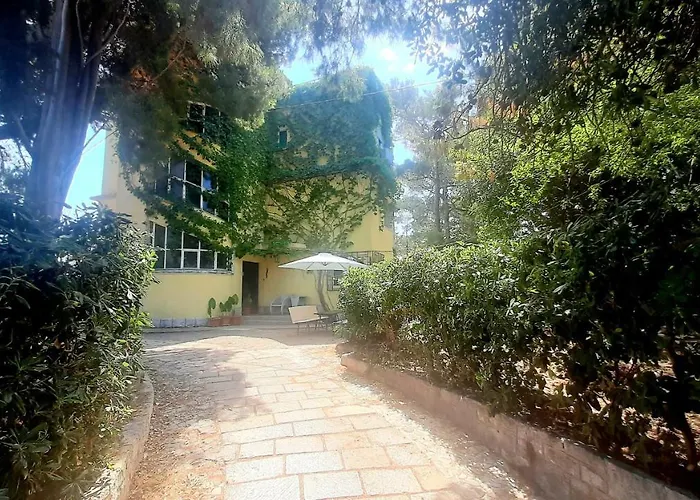 Old Captain's - In A Pine Wood By The Sea And Tennis Courts