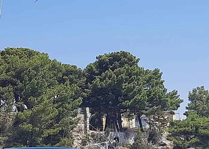 Old Captain's - In A Pine Wood By The Sea And Tennis Courts *