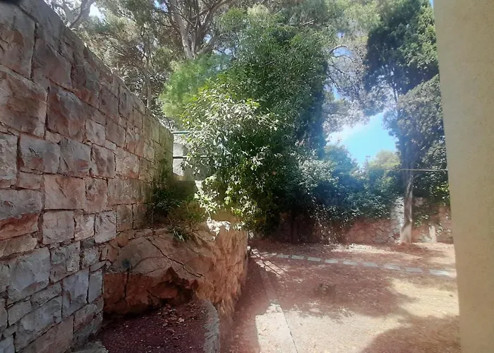 Old Captain's - In A Pine Wood By The Sea And Tennis Courts