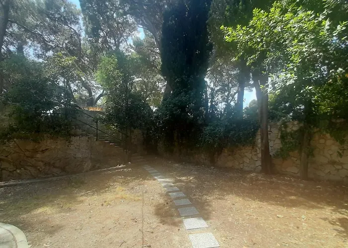 Old Captain's - In A Pine Wood By The Sea And Tennis Courts Lägenhet *