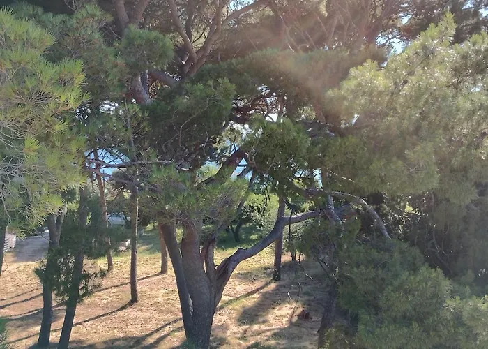 Old Captain's - In A Pine Wood By The Sea And Tennis Courts Lägenhet Split